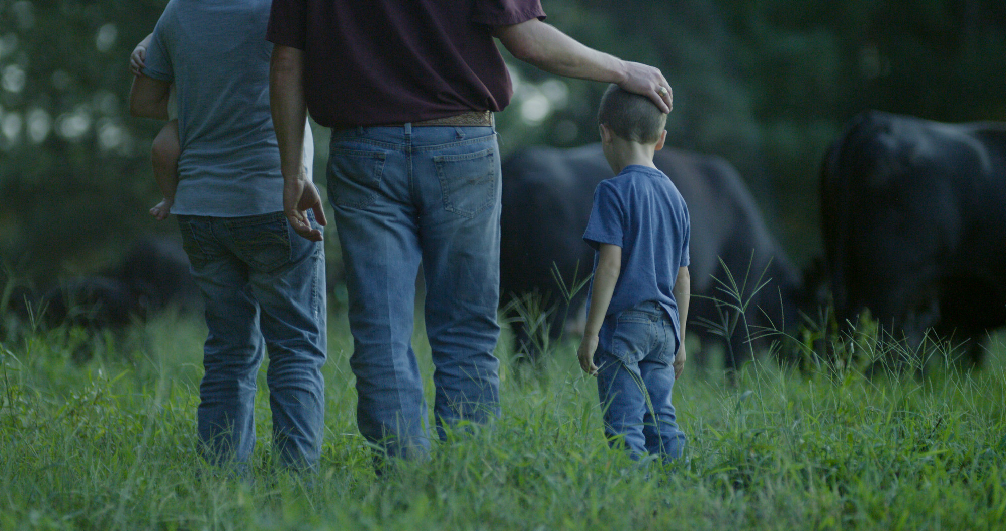 family looking at cattle