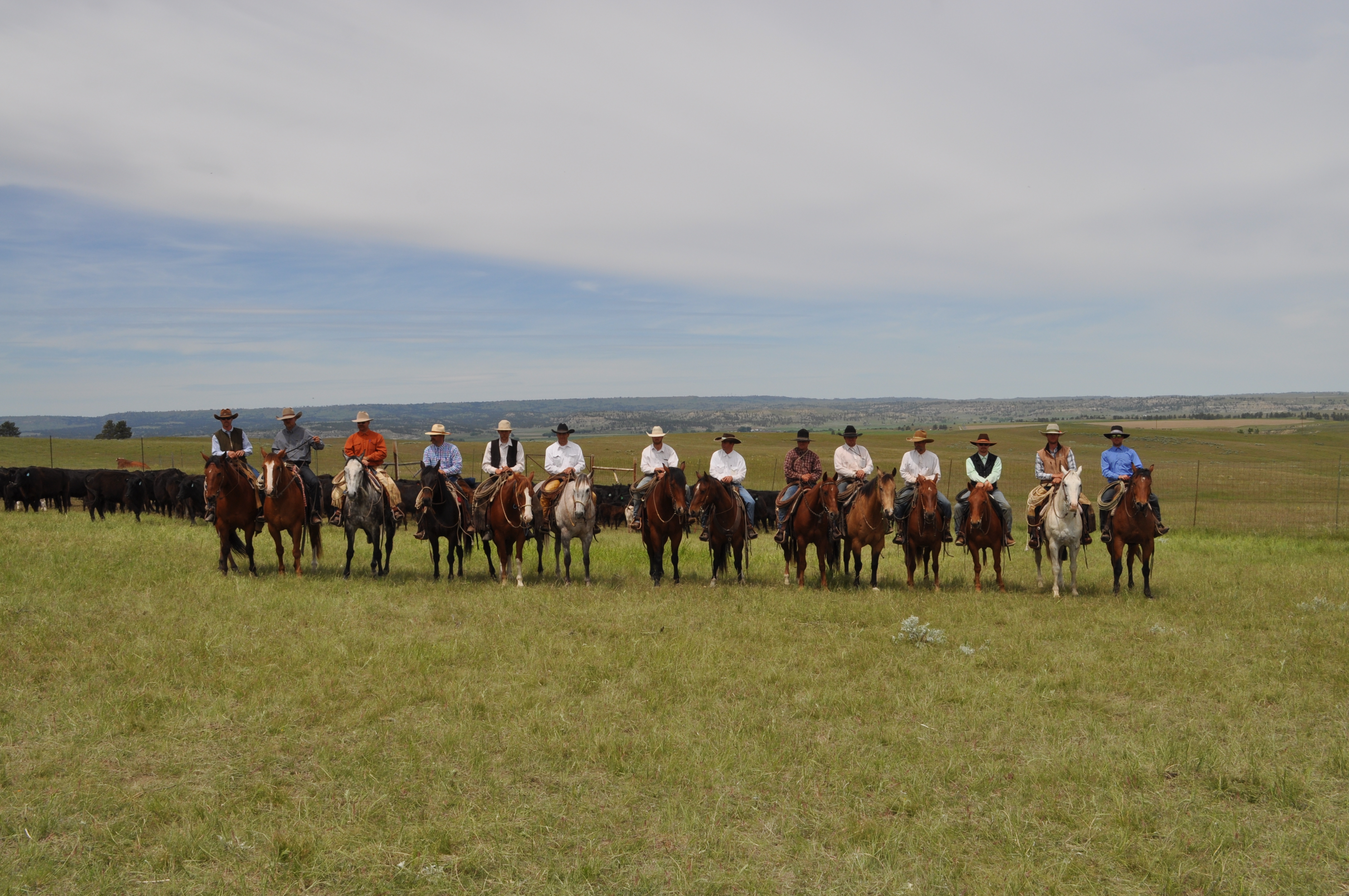 cowboy lineup