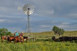 windmill gather