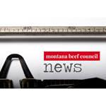 mbc news graphic